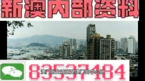 新闻 第243页