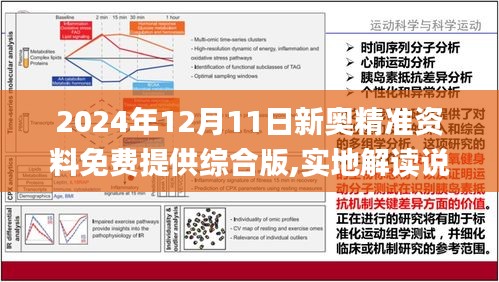 新澳2024-2025年精准正版资料全面释义与落实详解