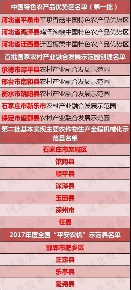 2025年新澳门天天免费精准大全,详细解答、解释与落实