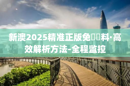 新澳2025精准正版免費資料,实时解答、解释与落实