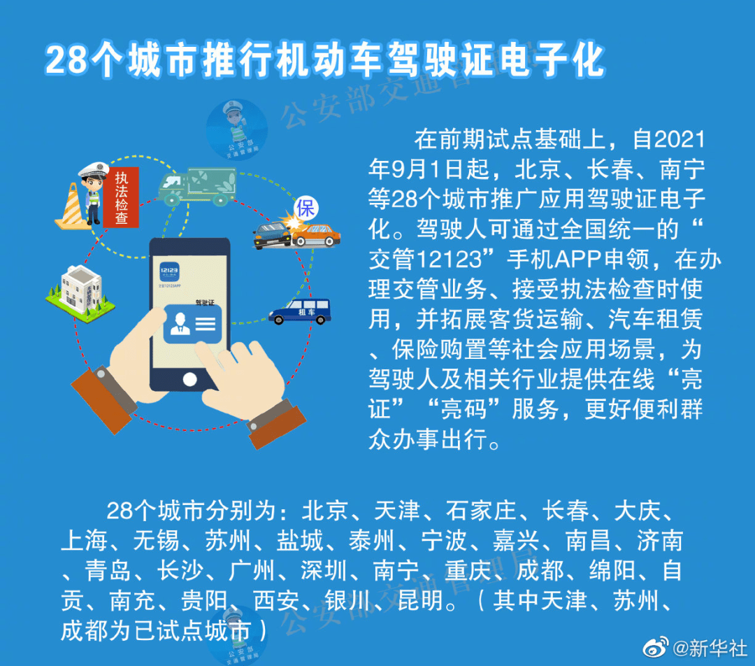 新奥管家婆资料2025年85期,前沿解答解释落实