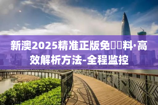 新澳2025精准正版免費資料具有参考性,全面释义、解释与落实