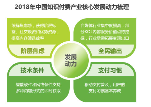 新奥管家婆资料2025年85期,前沿解答解释落实