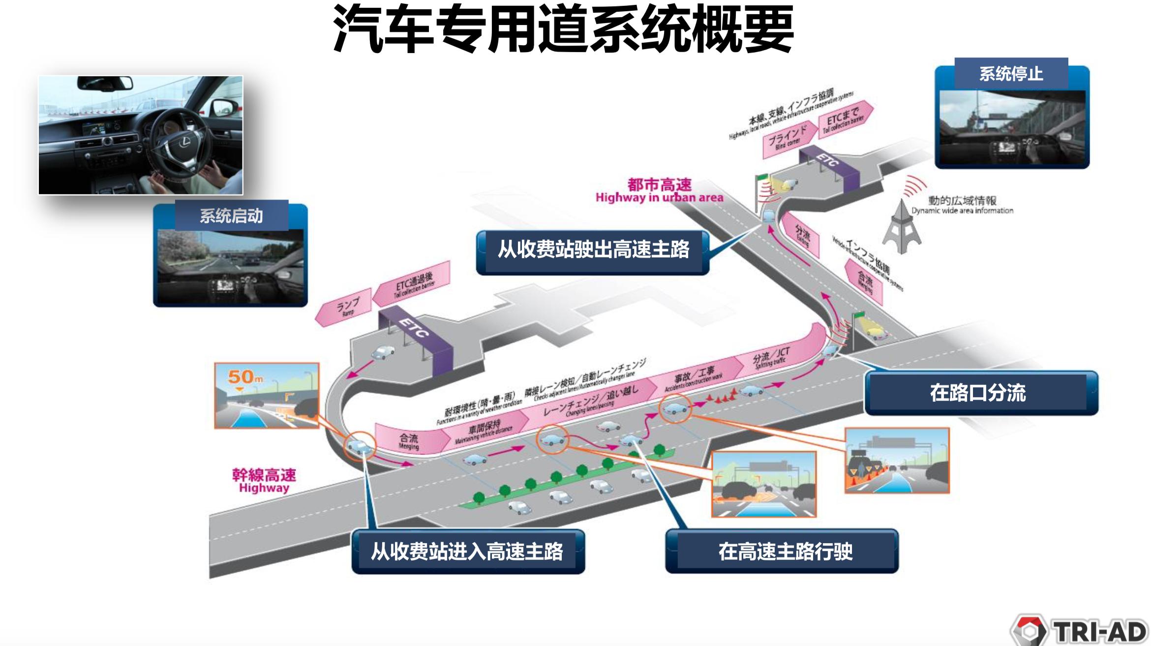 2025年正版资料免费大全,实证释义、解释与落实