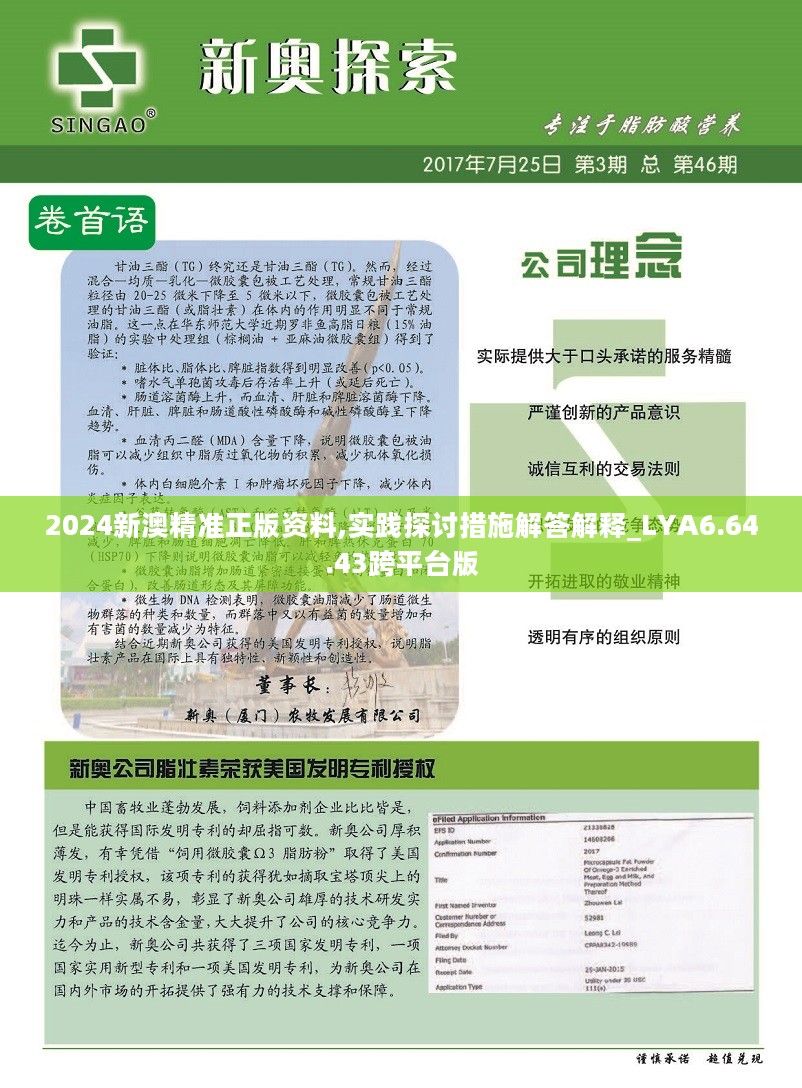 新澳2024-2025年精准正版资料全面释义与落实详解